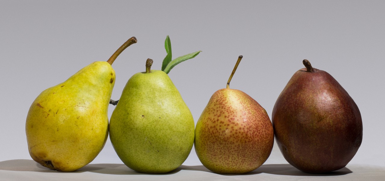 Four pears with leaves on a table