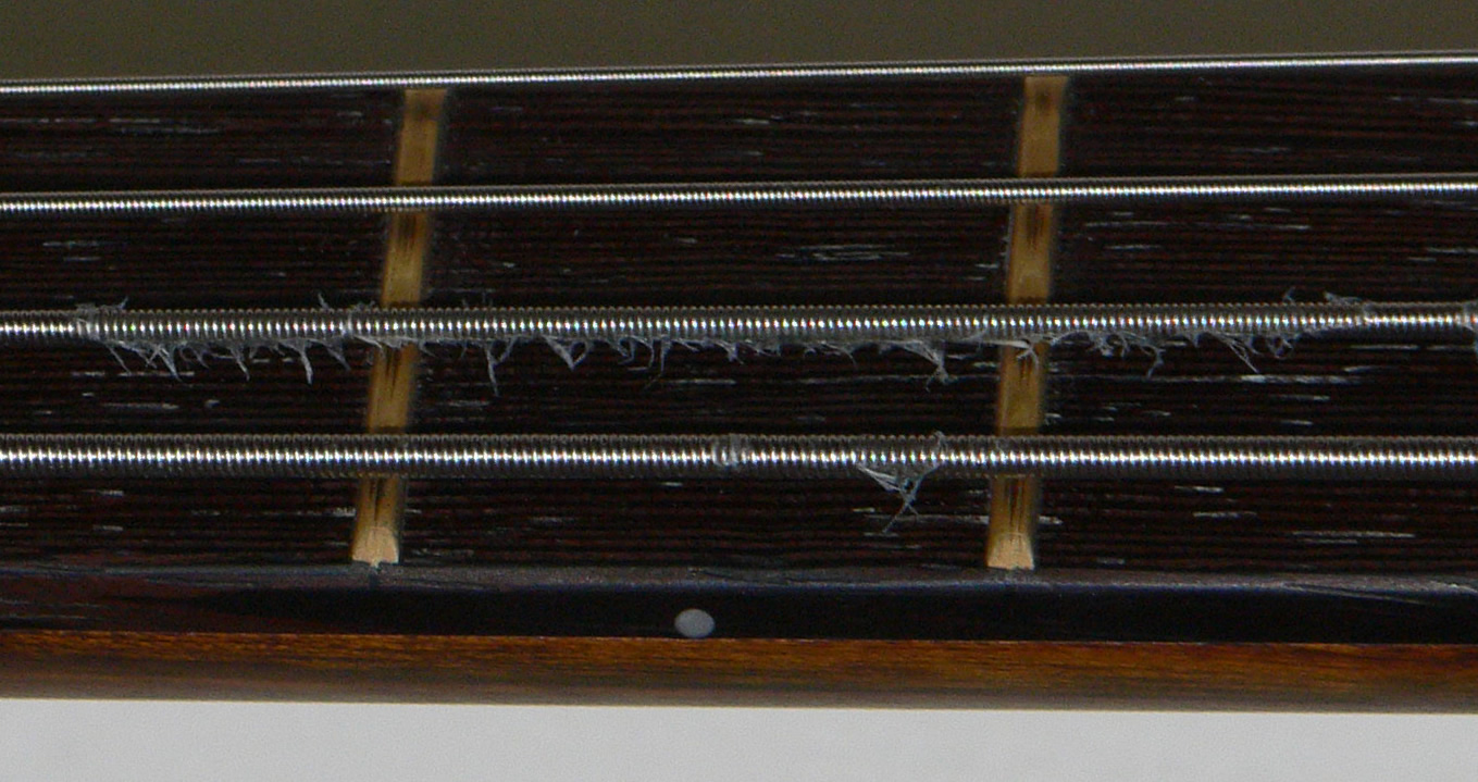 Elixir bass strings six months later Riff Blog